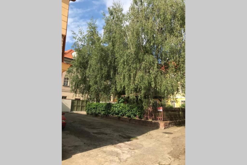 Rose Apartments / Romantic & Cozy / City Center Praga Exterior foto